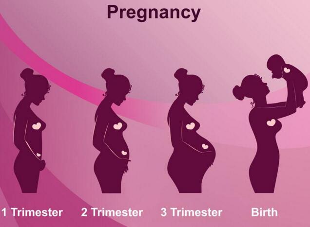【图】怀孕生化是什么意思 怀孕生化相关知识