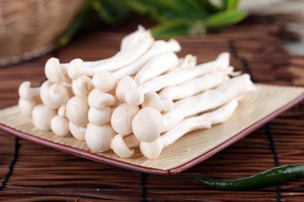 生活小常识:海鲜菇的做法 海鲜菇的营养价值