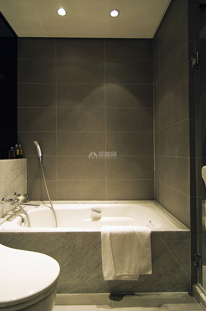 单身贵族现代一居室装修效果图之卫生间浴缸