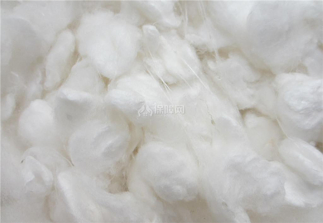 丝绵是什么材料 羽绒棉和丝绵的区别