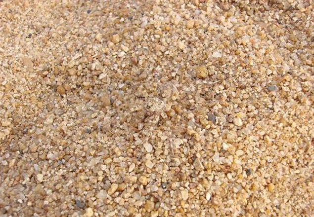 粗砂是砂土中砾粒含量不大于25%,而粒径大于0.