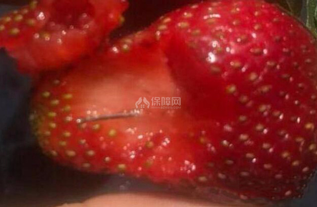 澳大利亚草莓藏针是怎么回事?草莓香蕉里面为