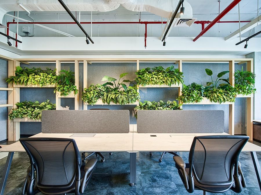 Technigroup办公室之绿植装饰效果图
