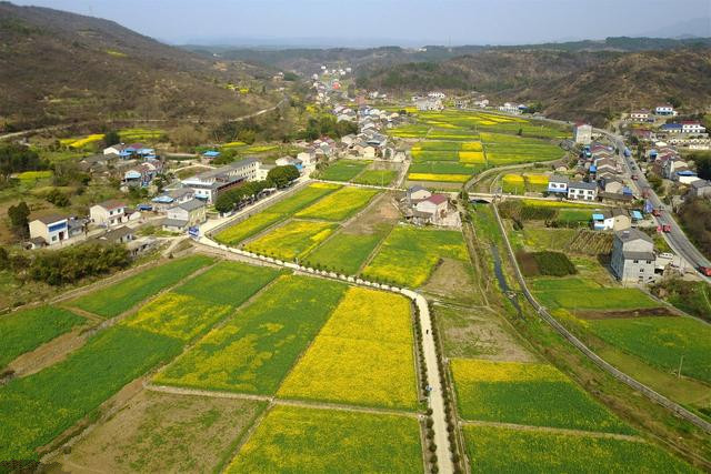 农村新增人口土地_农村人口