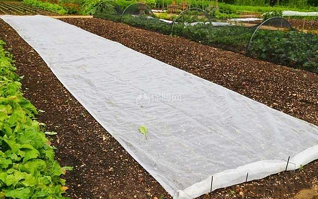 舊床單變廢為寶 以下的10種智能用途簡直不可思議