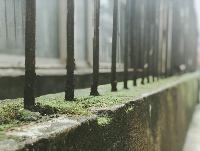 梅雨季节装修需要注意什么