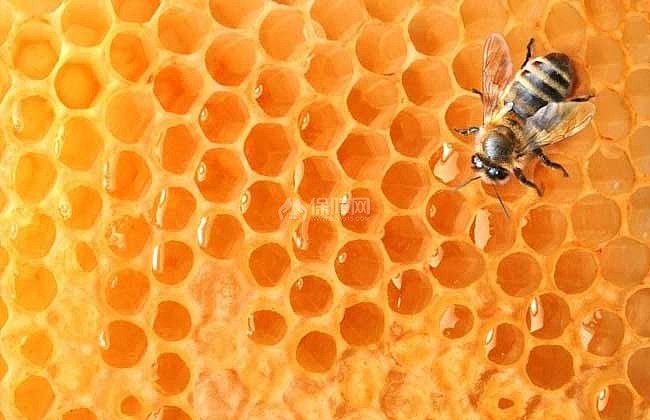 【图】蜂蜜水减肥法是真的蜂蜜水减肥法的伊美瘦身上海闵行区图片