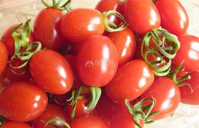 生活小常识:生吃西红柿的好处和坏处