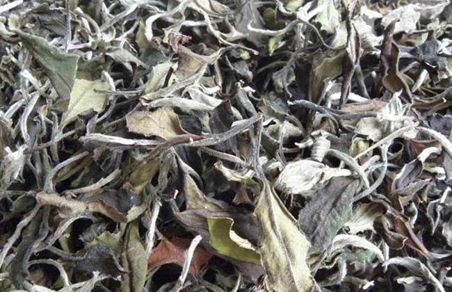 生活小常识:白茶产地在哪里 白茶的种类有哪些