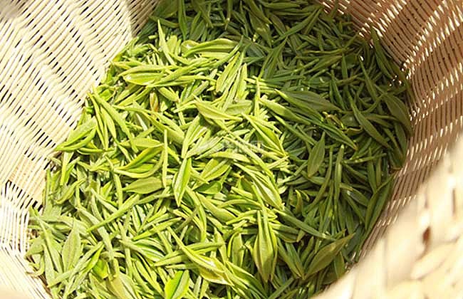 生活小常识:喝信阳毛尖有什么好处 信阳毛尖的