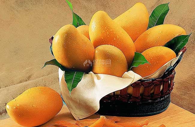 生活小常识:芒果的营养价值 芒果的药用成份