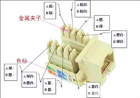 网线插座内部原理图图片