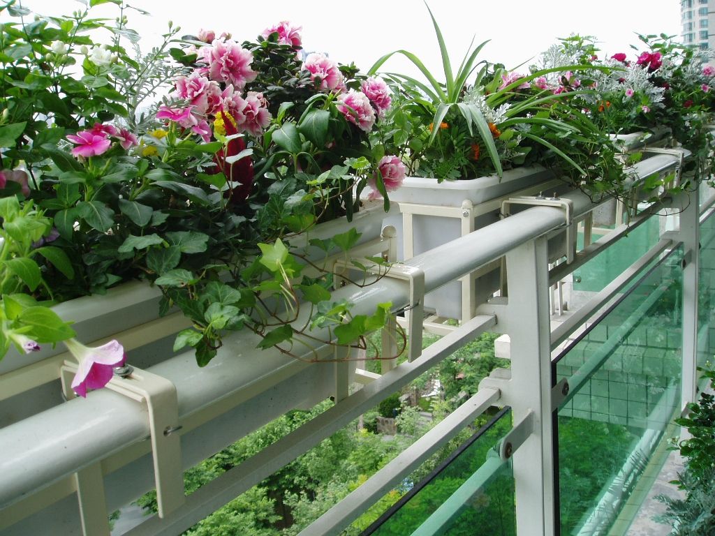 【rich】阳台绿化 小细节 大惊喜