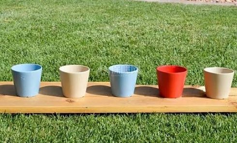 家居DIY：如何自制植物墙