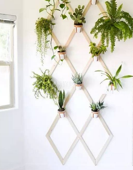 家居DIY：如何自制植物墙