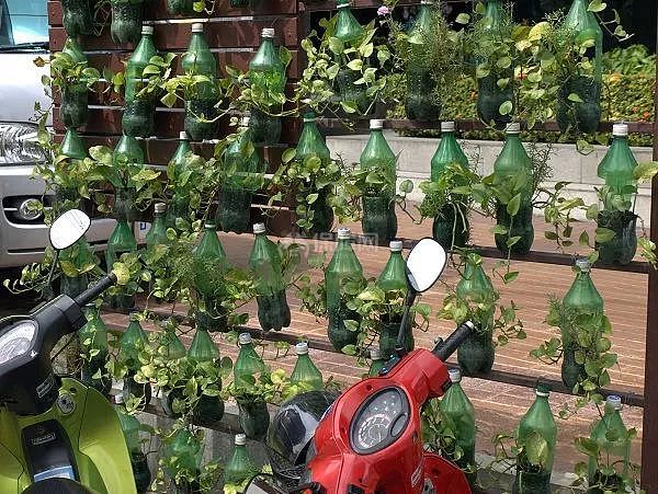 家居diy 11个巧妙废物改造成小花坛省钱又美观 装修保障网