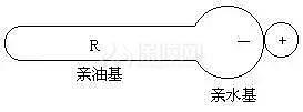 10件厨房清洁神器 择其中一二让家保持洁净
