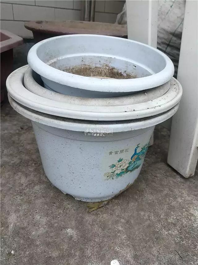 花园怎么布置改造
