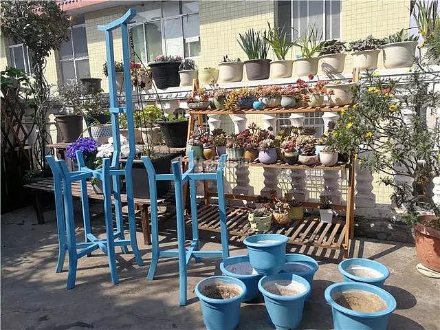 花园怎么布置改造