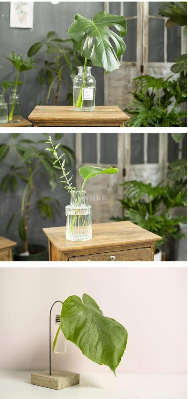 能随风格diy的室内小盆栽