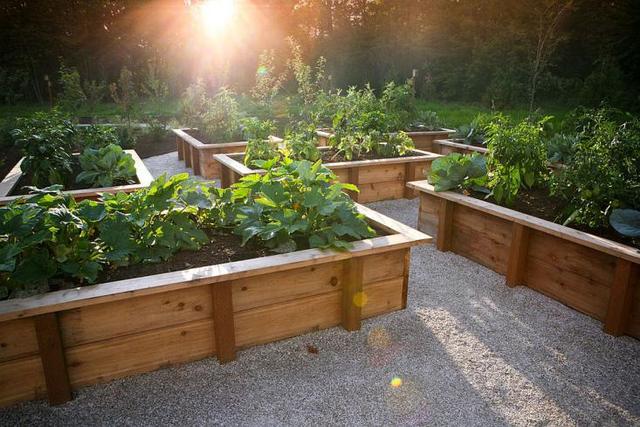 家庭小菜园设计打造功能实用且时尚休闲的可食用花园