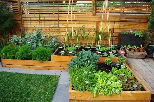 家庭小菜园设计打造功能实用且时尚休闲的可食用花园