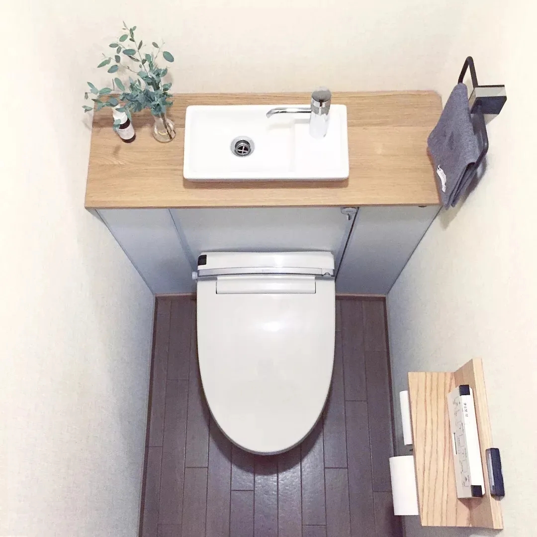 参观日本人的卫生间设计 一进门我愣住了!