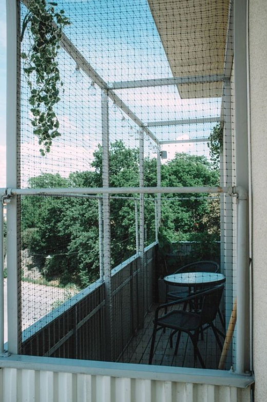 阳台不用落地窗怎么装修 换成钢丝网更通透更省钱