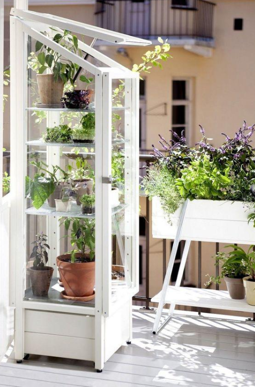 旧窗户改造DIY 用于院子花坛别有一番风味!