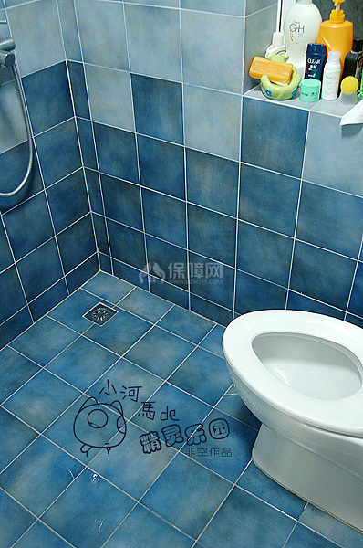 衛(wèi)生間用的是藍(lán)色的。