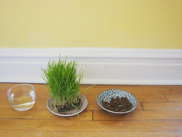 小房也有春天 看一居室的華麗轉(zhuǎn)身 小戶型裝修,70