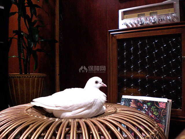 精美家居用品 打造文藝洋氣小復(fù)式樓 復(fù)式裝修,12