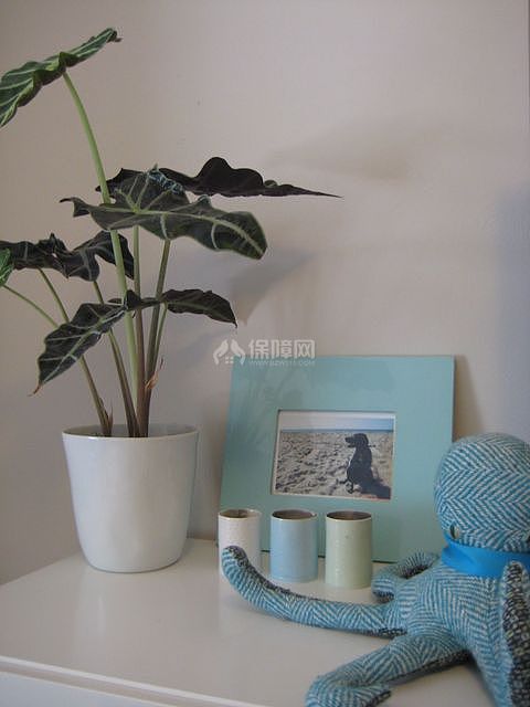 童趣家居飾品 喚醒空間年輕原動(dòng)力 三居室裝修,80