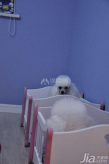 真相揭晓啦，这是我们家两只白雪公主的爱床~~