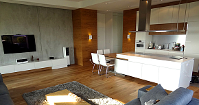 现代风格顶层公寓客厅图片
