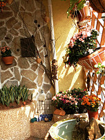 波西米亚风格阳台花园图片