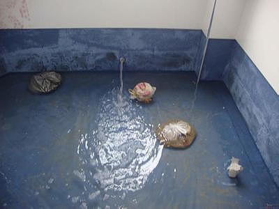 正荣朗逸湾