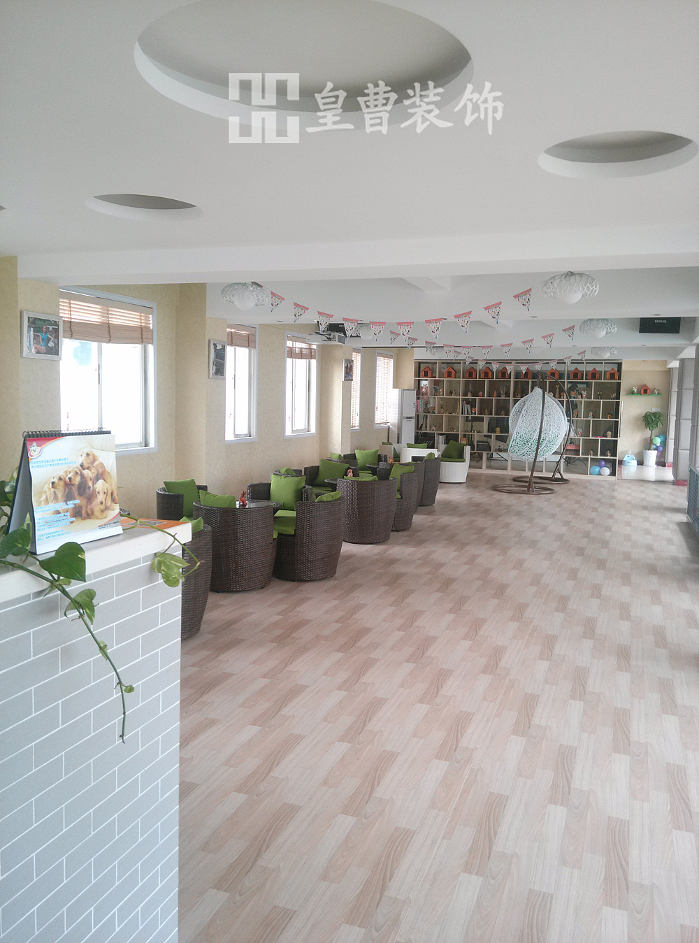 宠物俱乐部完工实景图