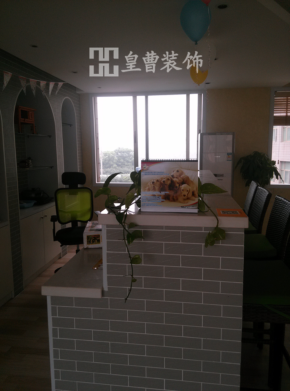 宠物俱乐部完工实景图