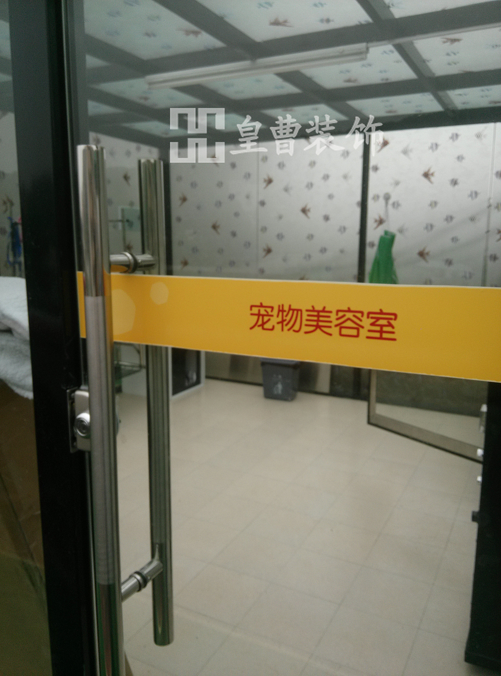 宠物俱乐部完工实景图