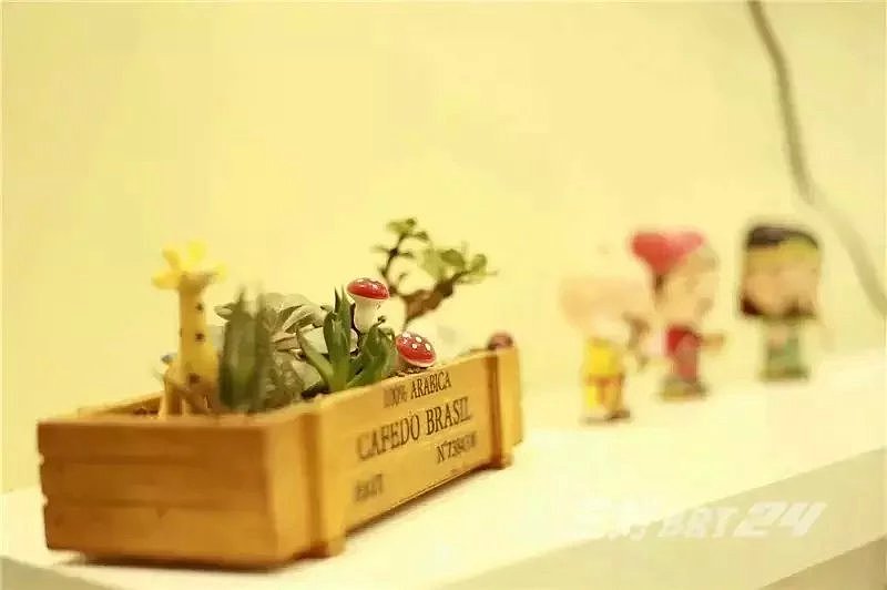 【三好BRT速装】约克郡上景