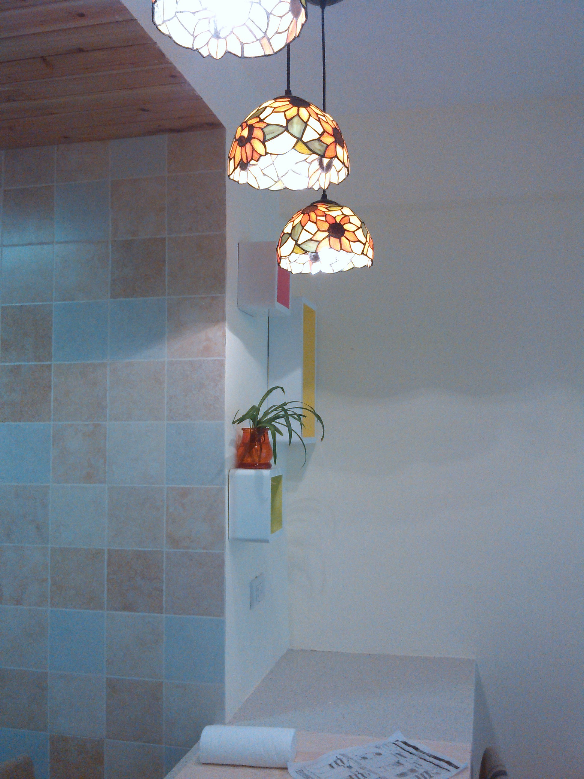 女主人是个未婚的小白领，自己一个人喜欢清新自然的感