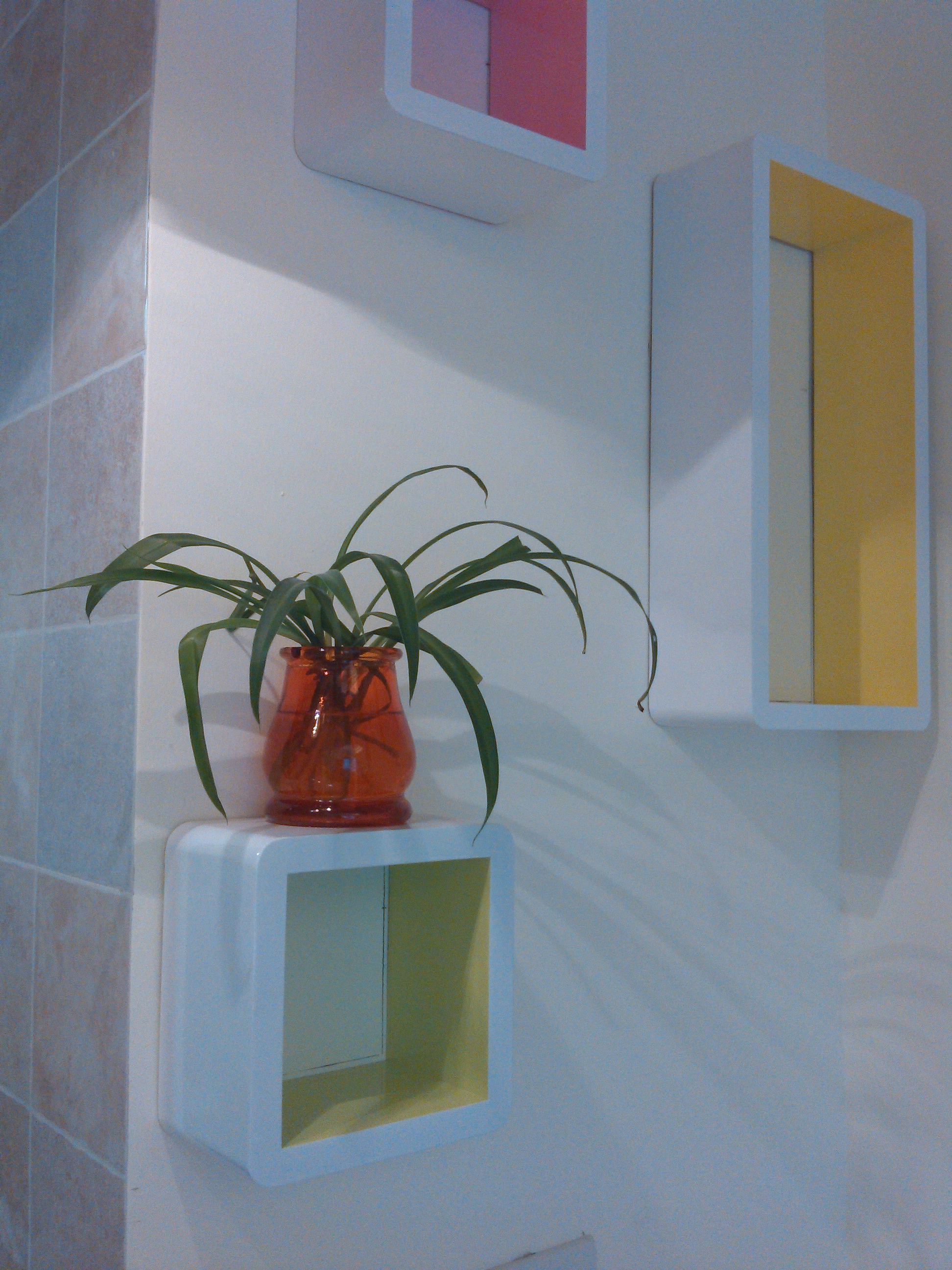 女主人是个未婚的小白领，自己一个人喜欢清新自然的感