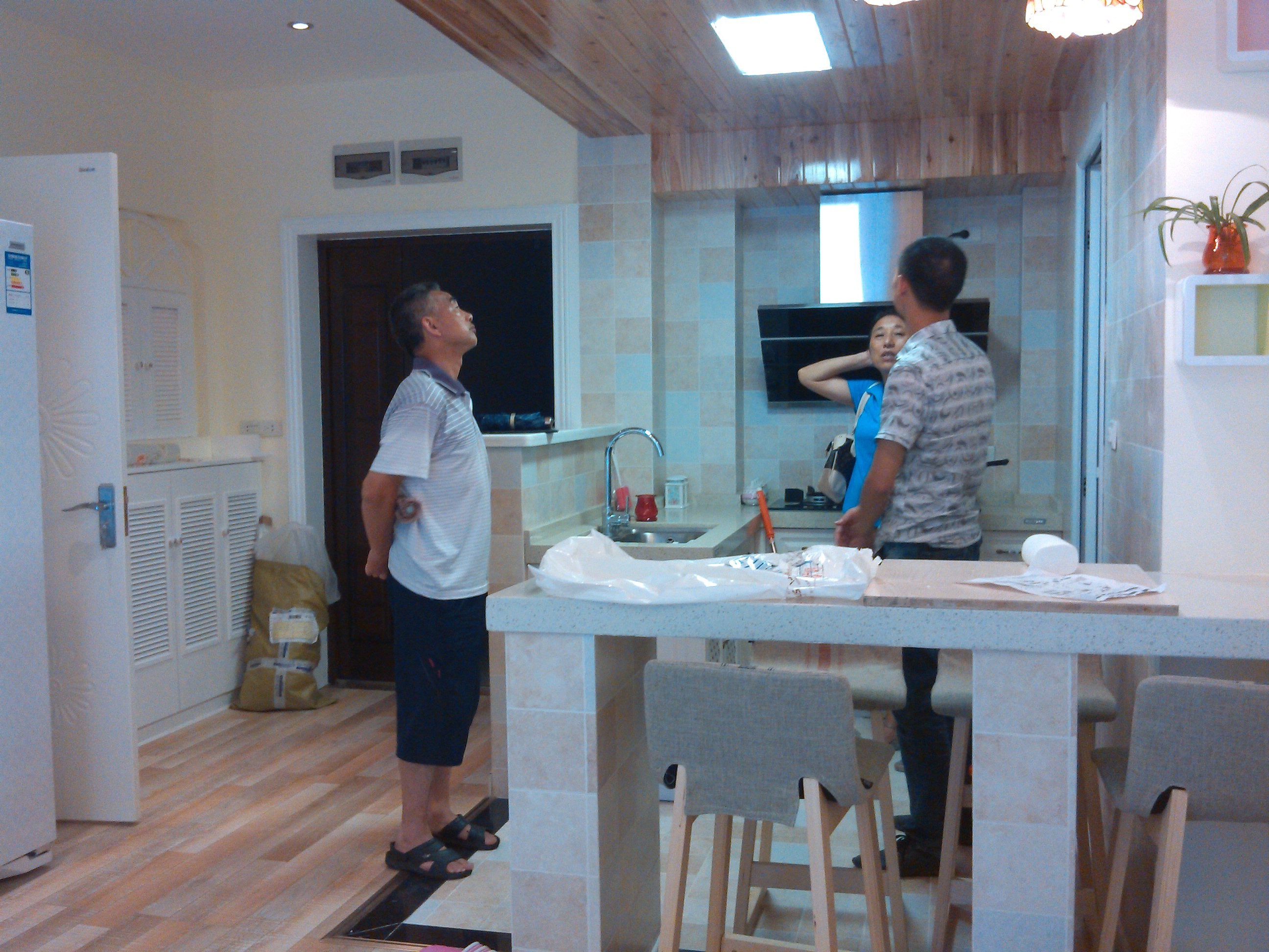 女主人是个未婚的小白领，自己一个人喜欢清新自然的感