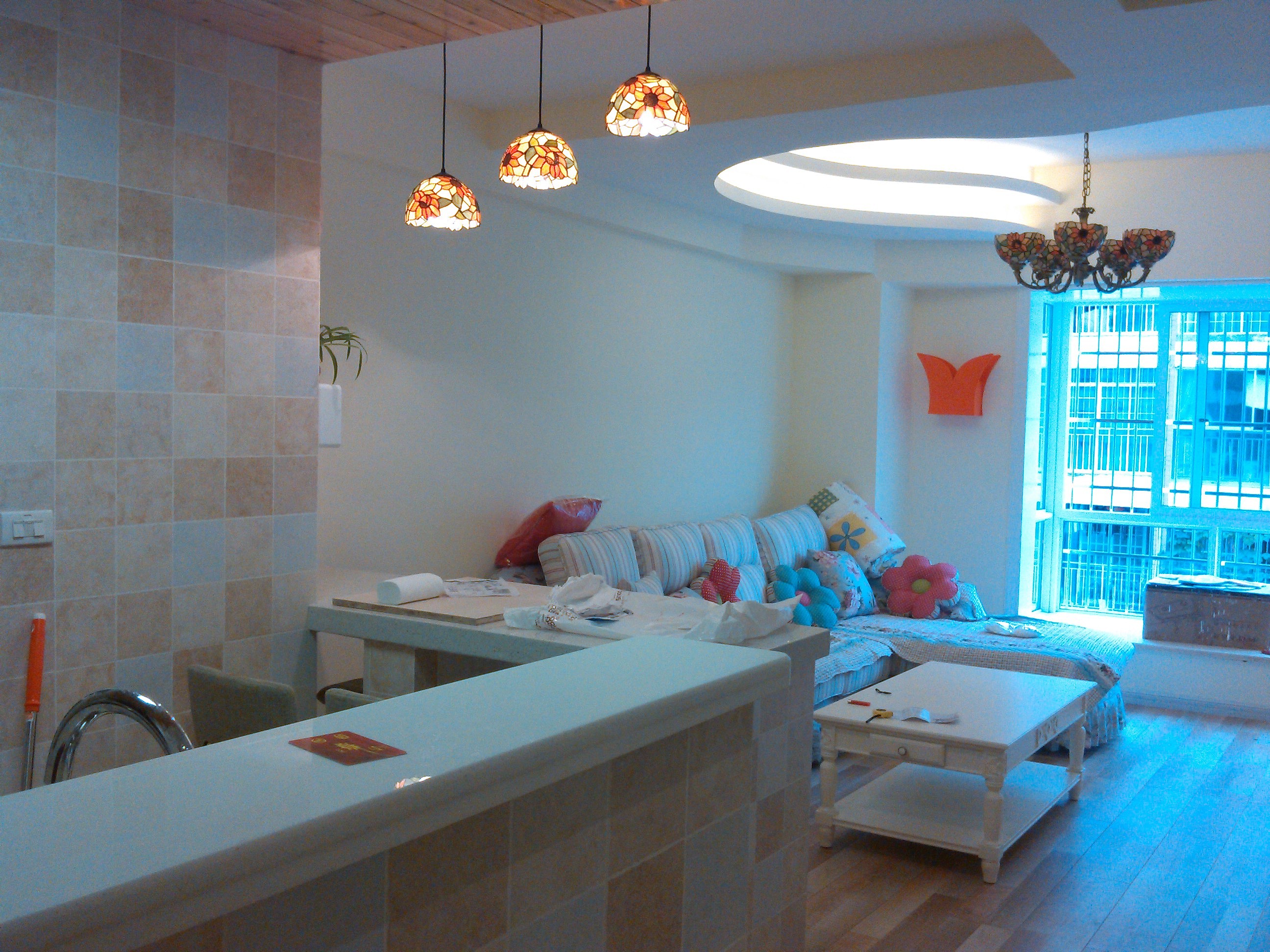 女主人是个未婚的小白领，自己一个人喜欢清新自然的感