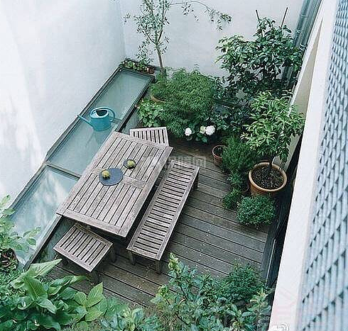 如何零基础在阳台建立微型花园?