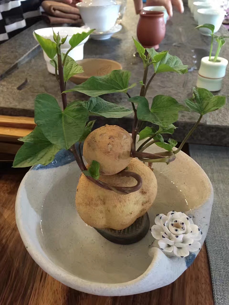 茶舍