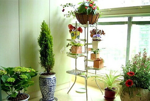阳台绿化设计方案