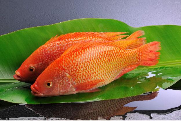 【图】红鱼怎么做好吃?红鱼的营养价值
