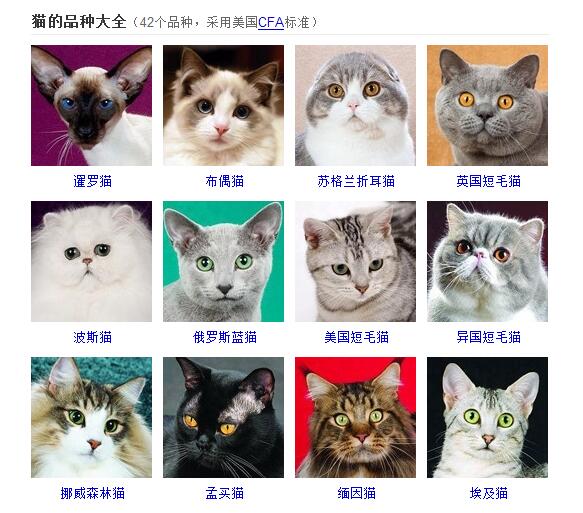 中华狸花猫     作为中国第一种走向国际舞台的猫咪,中华狸花猫必须放